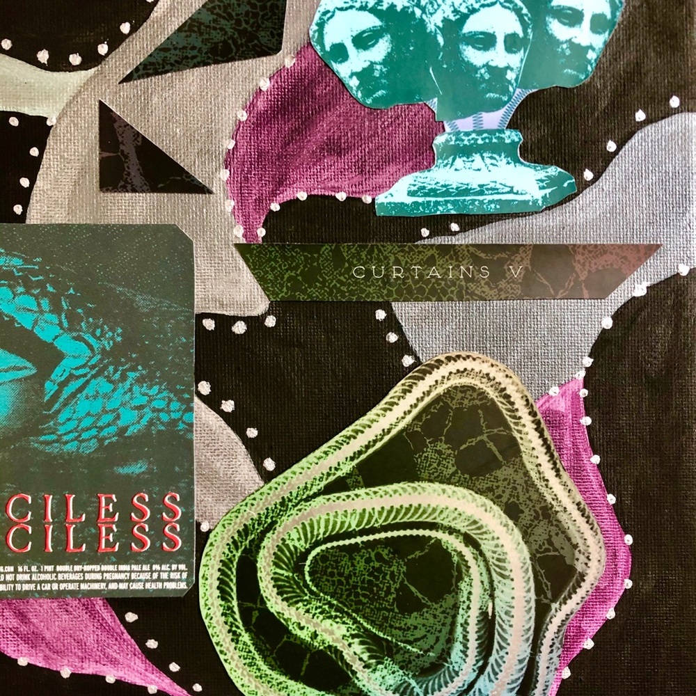 Snake Collage - Picture 4 of 5